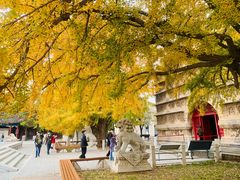 -北京石刻艺术博物馆(五塔寺)