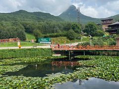 -帽儿山风景区