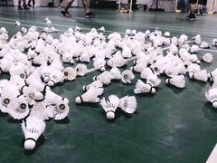 -东丽温泉羽毛球