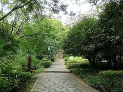 -太子山公园(园东路)