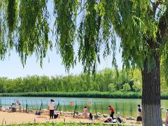 -大兴滨河森林公园