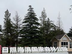 -日照海滨国家森林公园
