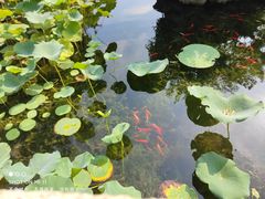 -东山雕花楼