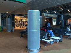 -西沃古尔·拉姆古兰爵士国际机场