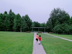 -大望京公园