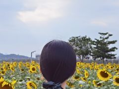 -光明小镇欢乐田园