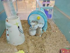 -重庆北碚万达广场