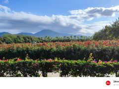 -亚龙湾国际玫瑰谷