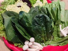 -额尔敦涮肉自助(摩尔城店)