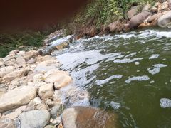 -绿岛公园(滨海新区)