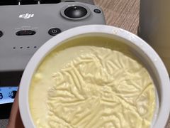 -德禄酸奶(莫家街店)