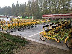 -黄海国家森林公园