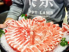 -快乐小羊火锅餐厅(农科路店)