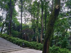 -岳麓山风景名胜区