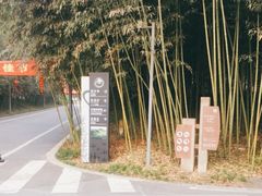 -都江堰中华大熊猫苑