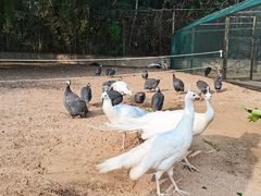 -秦皇岛野生动物园
