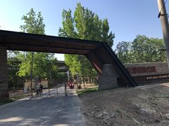 -东郊湿地公园