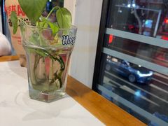 -三猫黑鱼花(南大店)