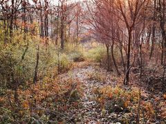 -南京市无想山景区