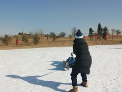 -绿野森林乐园冰雪季