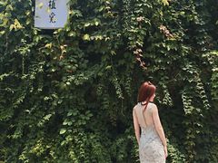 -植觉