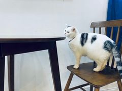 -三仟津花园咖啡馆