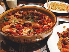 -小俩口烧烤东北菜(双井店)