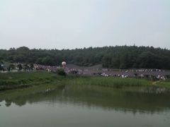 -大塘金香草谷