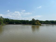 -大湾区中央湿地公园