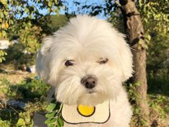 -陆记牛庄·碳锅龙虾烧烤(爱上花园店)