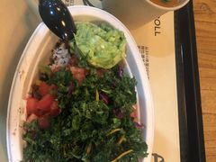 -油梨树 AVOCADO TREE(亮马桥店)