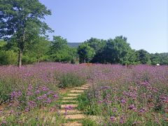 -钟山体育运动公园