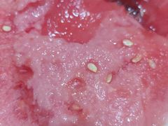 -百果园PAGODA(升龙城店)