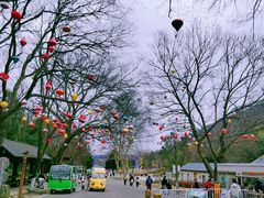 -老山国家森林公园
