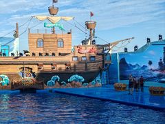 -海合安青岛极地海洋公园