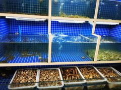 水产区-郭姐·威海渔村(黄兴路店)