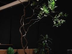 -新太二·鲜料川菜(智慧城广百店)