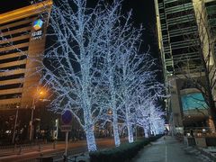 -凯德MALL(望京店)