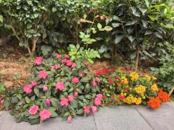 -宝生月子中心·私家园林式(龙华观澜店)