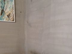 -长藤鬼校(龙翔店)