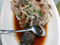 -苔圣园酒家(尊木汇国际艺术广场店)