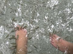 -碧水湾温泉