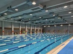 -重庆市奥林匹克体育中心-游泳跳水馆