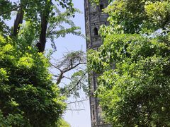 -上海佘山国家森林公园天马山园