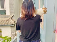 -喵屿·大理花园猫咖