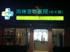 -雨林宠物医院 非犬猫异宠专科