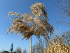 -中国天府农业博览园