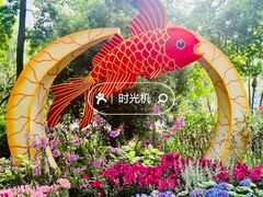 -晓港公园