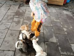-哈尔滨波塞冬海底世界