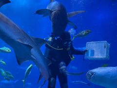 -太平洋海底世界